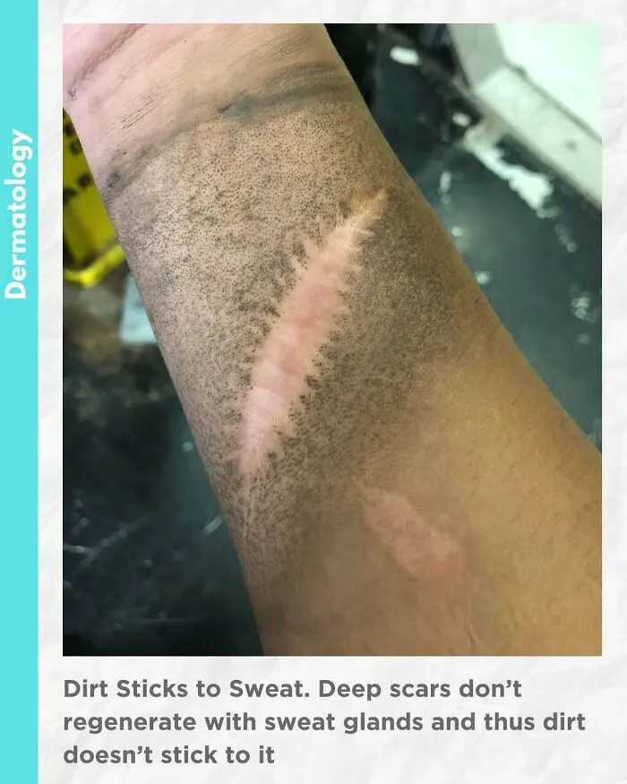 50 Medical Pics That Are Weirdly Mesmerizing And Slightly Disturbing