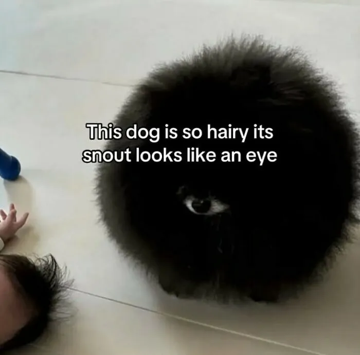 Bro Sees All