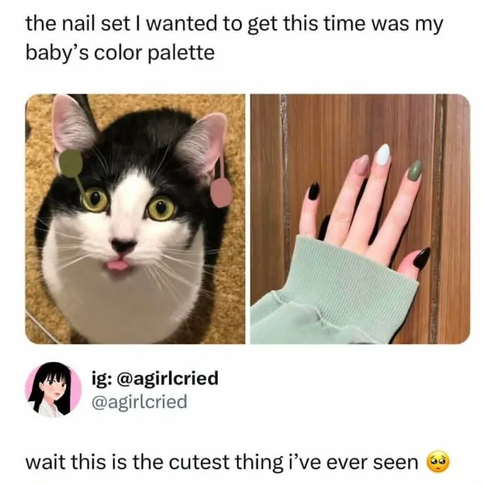 Black and white cat with matching nail colors inspired by the pet, perfect for cat memes lovers and enthusiasts.