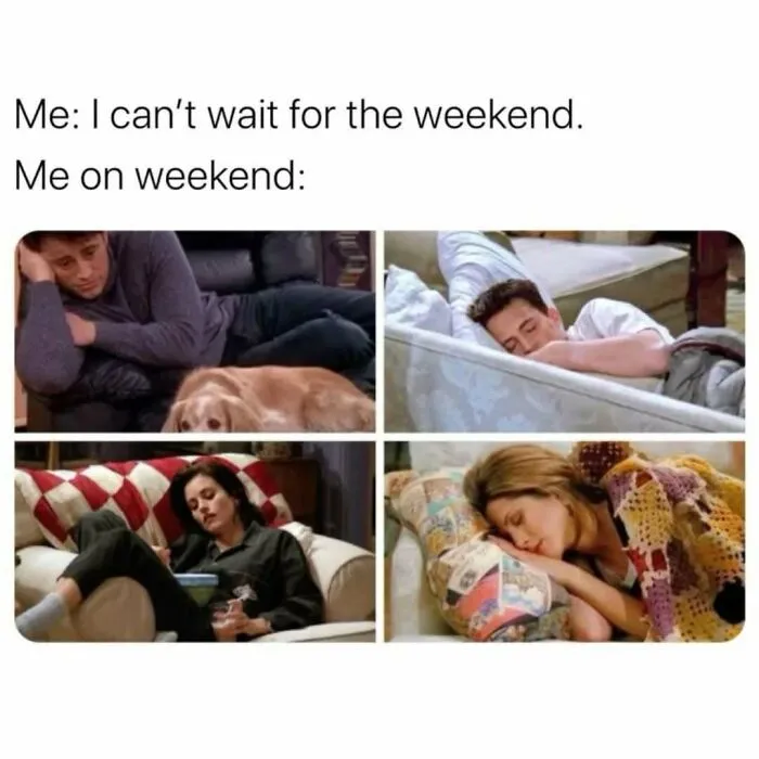 This IG Page Is Dedicated To ‘Friends’ Memes, And Here Are 103 Of The Best