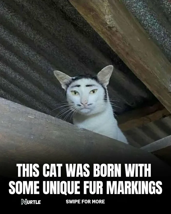 94 Random Facts That Nobody Really Asked For, But They Are Still Fun To Know