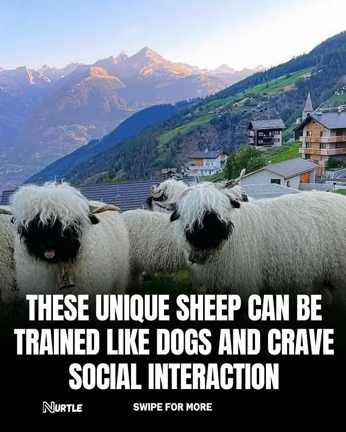 94 Random Facts That Nobody Really Asked For, But They Are Still Fun To Know