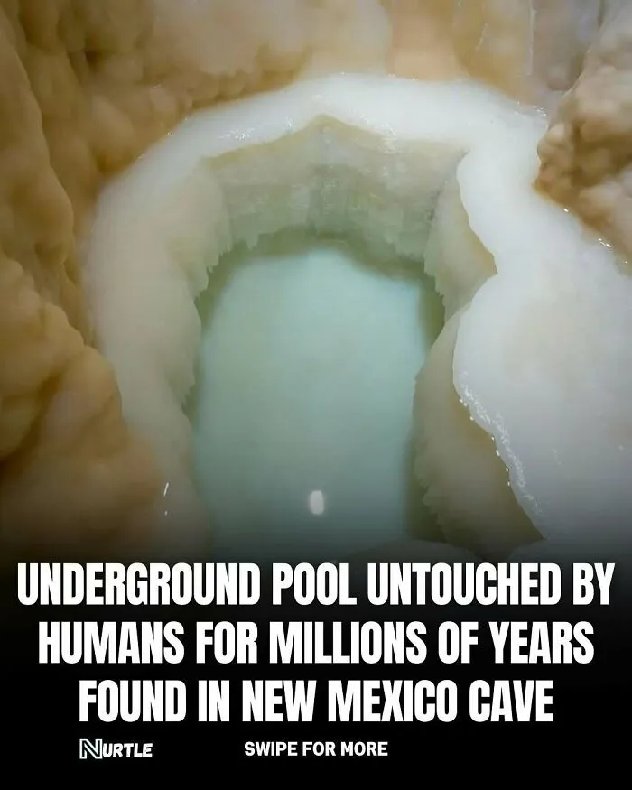 94 Random Facts That Nobody Really Asked For, But They Are Still Fun To Know