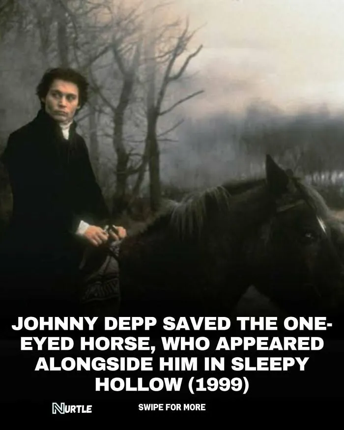 94 Random Facts That Nobody Really Asked For, But They Are Still Fun To Know