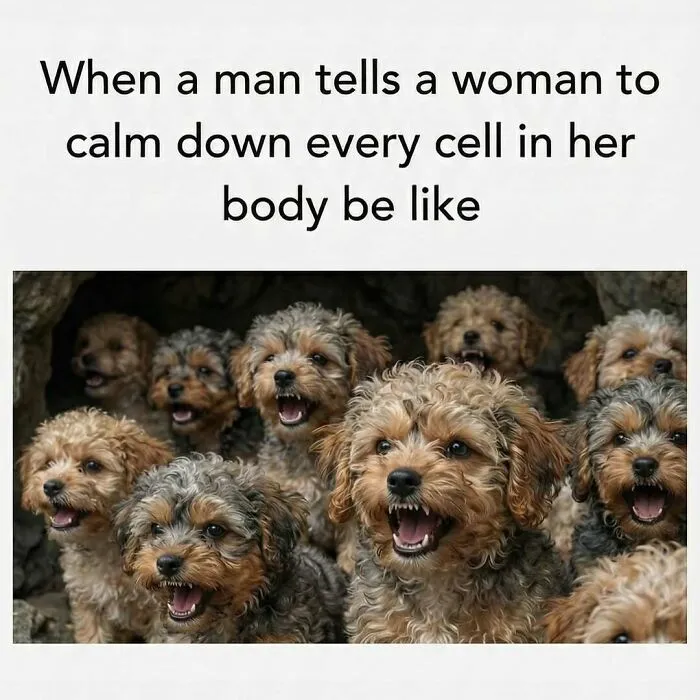 97 Hilarious Memes To Send To Your Favorite Group Chat Immediately