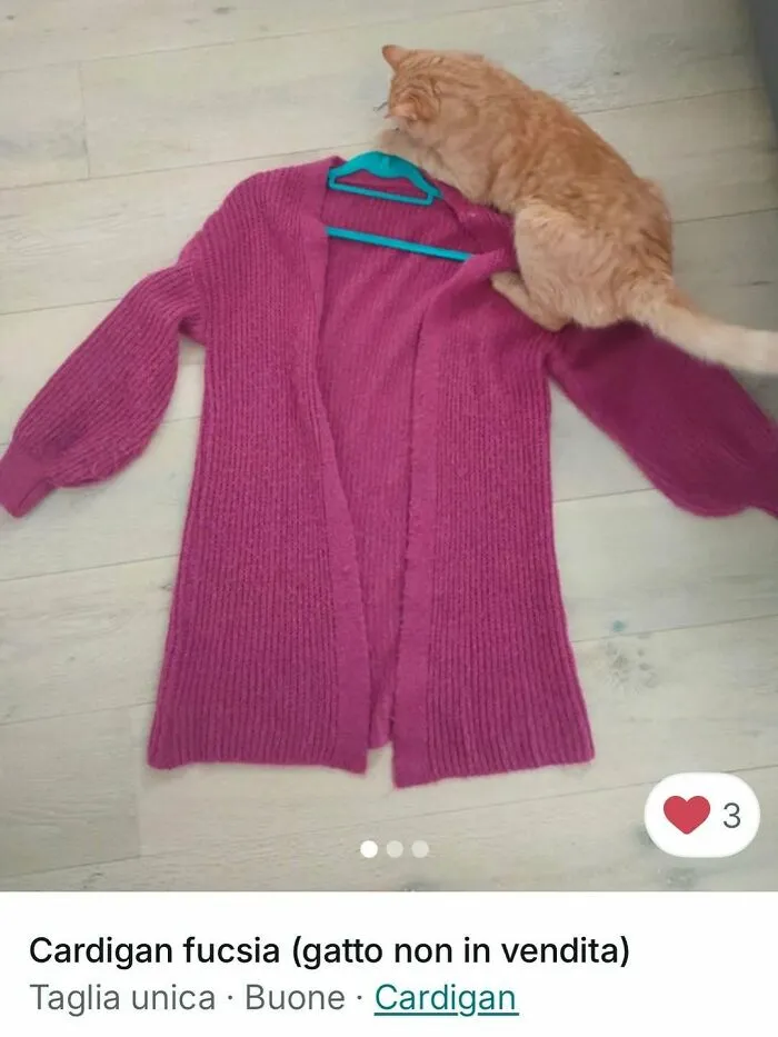 Orange cat laying on a fuchsia cardigan in a Vinted ad, showcasing cats stealing the spotlight in Vinted ads.
