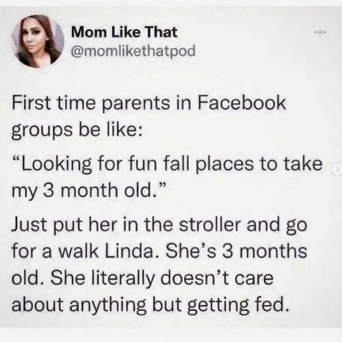 97 Hilarious Memes To Send To Your Favorite Group Chat Immediately