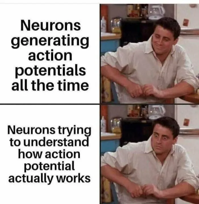 Humor meme showing neurons generating action potentials versus trying to understand how action potential works.