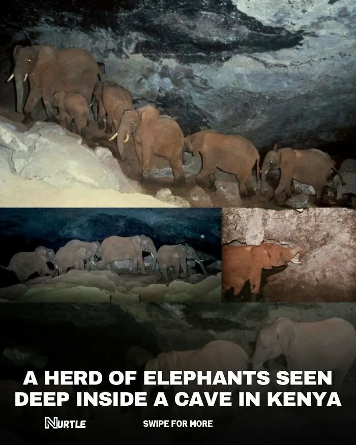 94 Random Facts That Nobody Really Asked For, But They Are Still Fun To Know