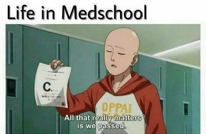 Anime character holding a grade paper with "Life in Medschool" text, humor meme about medical student passing exams.