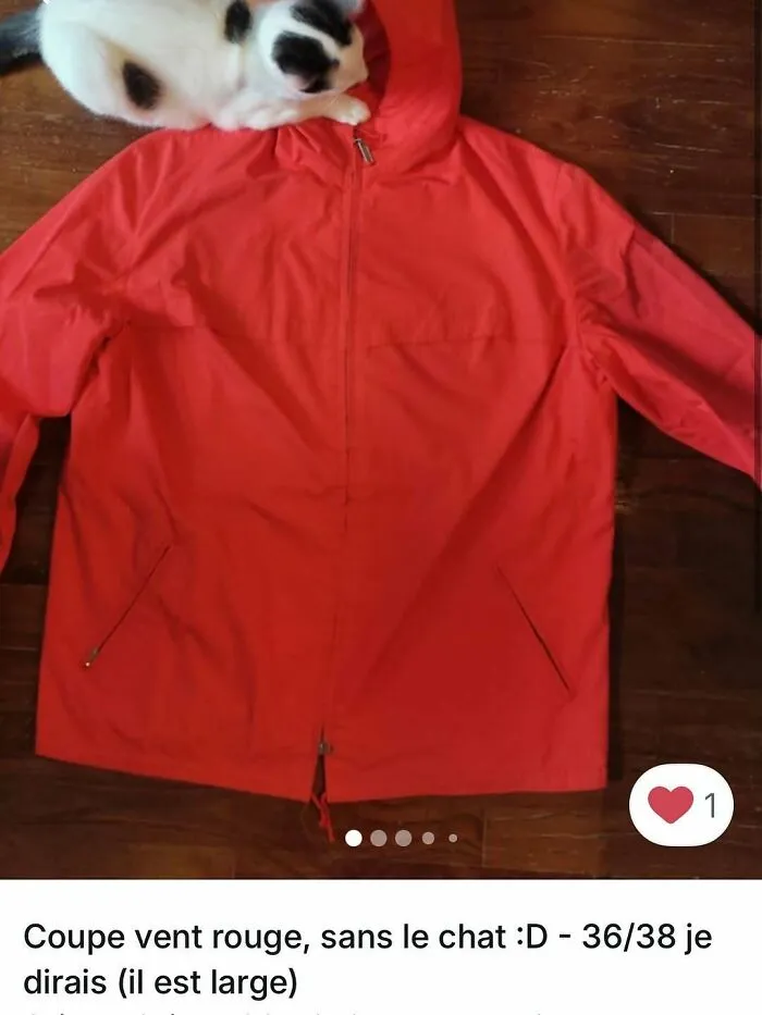 White and black cat resting on a red jacket, showcasing cats stealing the spotlight in Vinted ads for online clothing sales.