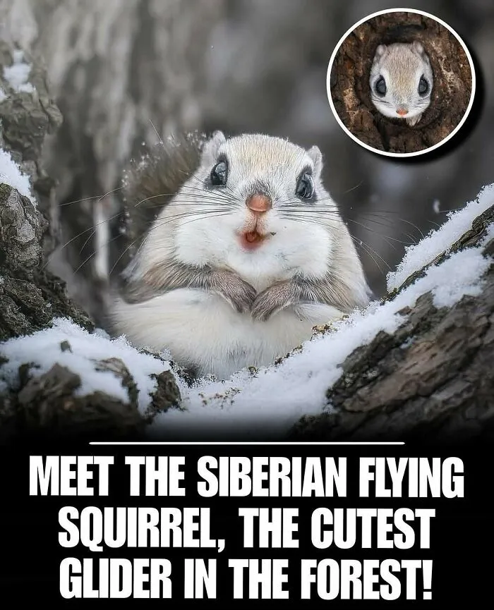 83 Times Animals Showed Off Their Charm And Brightened People's Days