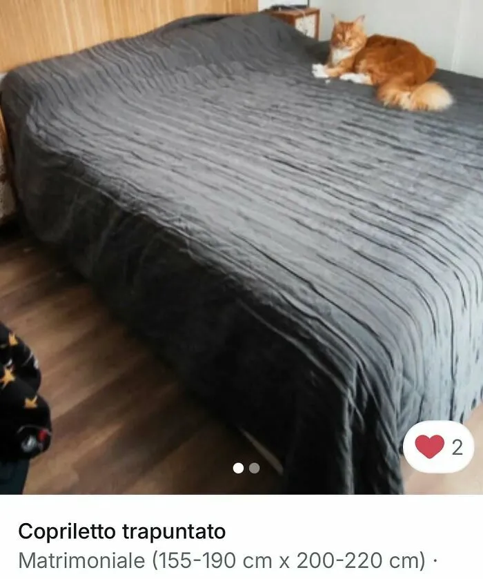 Orange cat lying on a gray bedspread, showing one of the many times cats stole the spotlight in Vinted ads.