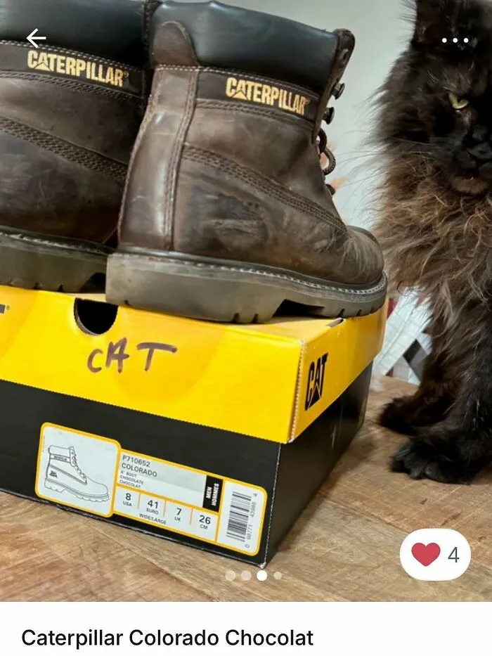 Worn Caterpillar boots on a box labeled cat with a black fluffy cat sitting beside, cats stealing the spotlight on Vinted.