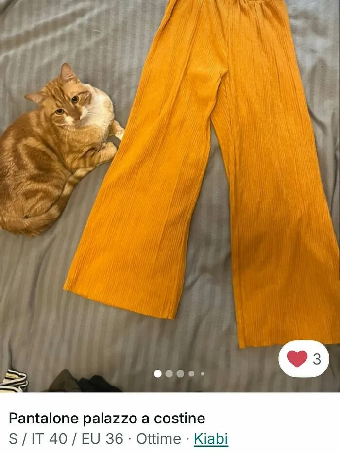 Ginger cat lying next to mustard yellow palazzo pants in a Vinted ad where cats stole the spotlight.