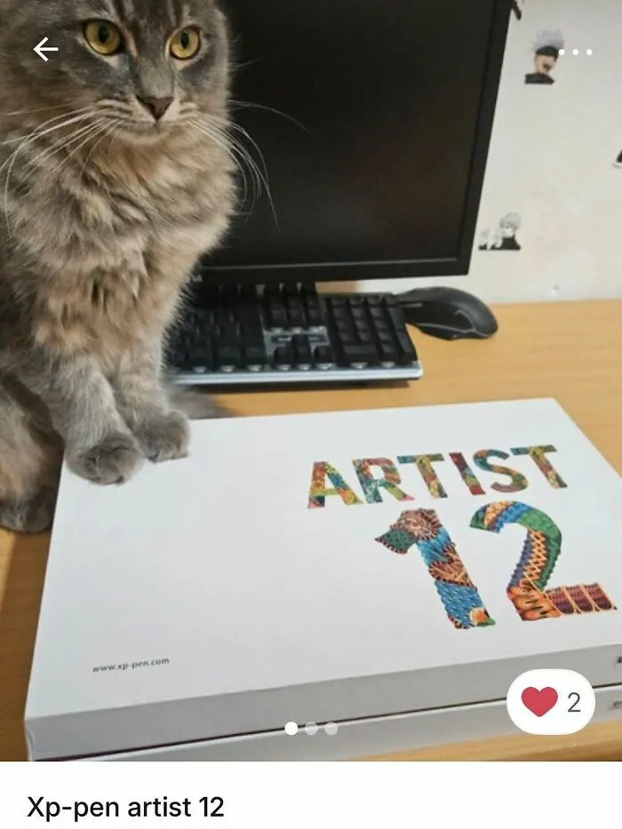 Gray cat sitting next to an Xp-pen artist 12 tablet, cats stealing the spotlight in Vinted ads.