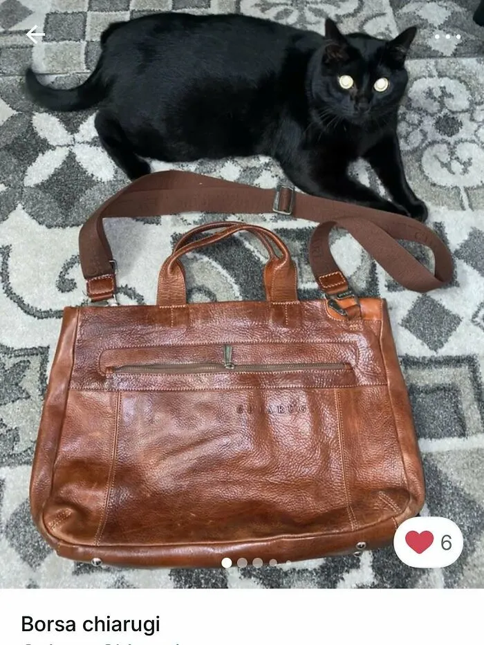 100 Hilarious Cat Cameos People Caught In Vinted Listings