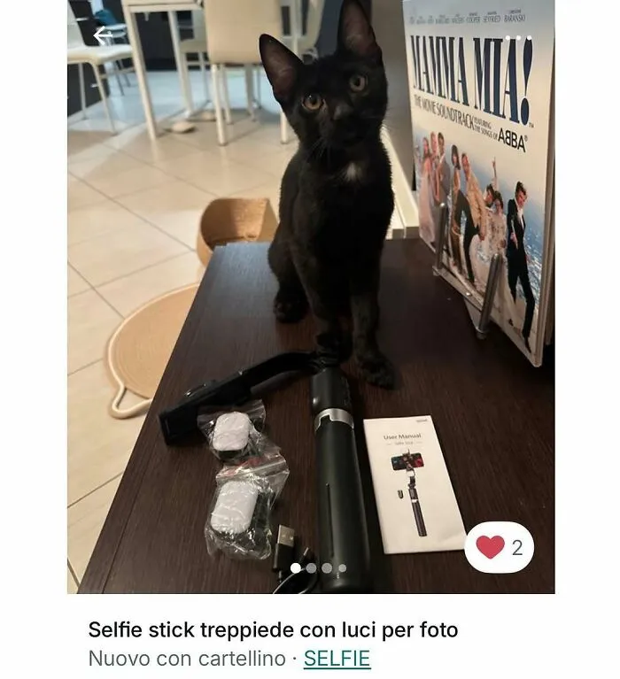 Black cat sitting on a table with selfie stick and accessories, showcasing cats stealing the spotlight in Vinted ads.
