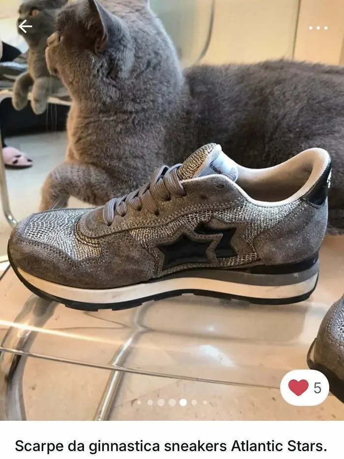 100 Hilarious Cat Cameos People Caught In Vinted Listings