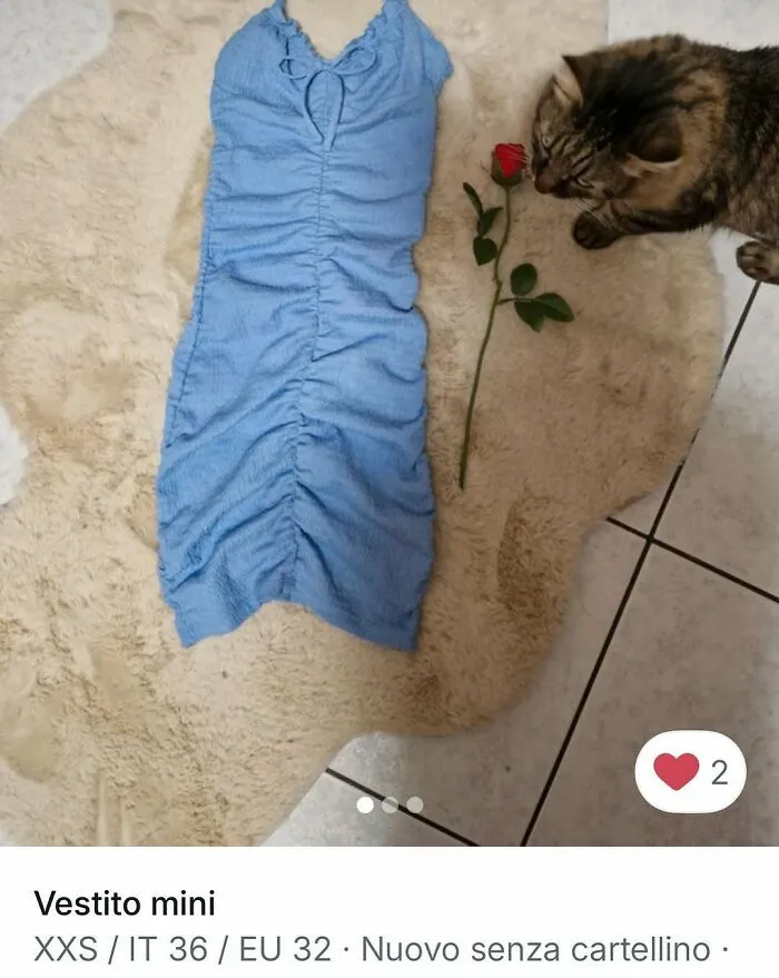 Tabby cat sniffing a red rose next to a blue ruched mini dress on a beige rug, featuring cats in Vinted ads.