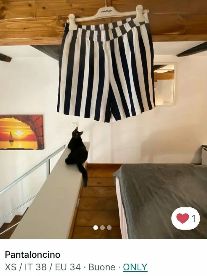 Black cat sitting on railing below striped shorts in Vinted ad, showcasing cats stealing the spotlight in listings.