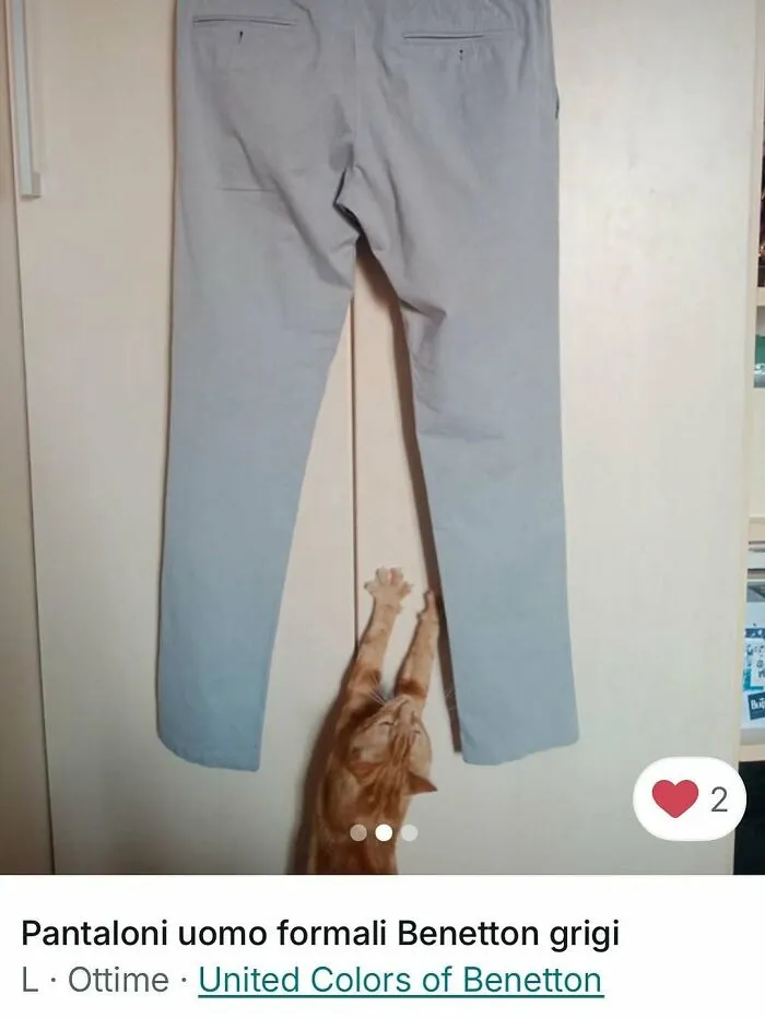 Orange cat reaching up to hang on the leg of gray formal pants in a playful Vinted ads moment.