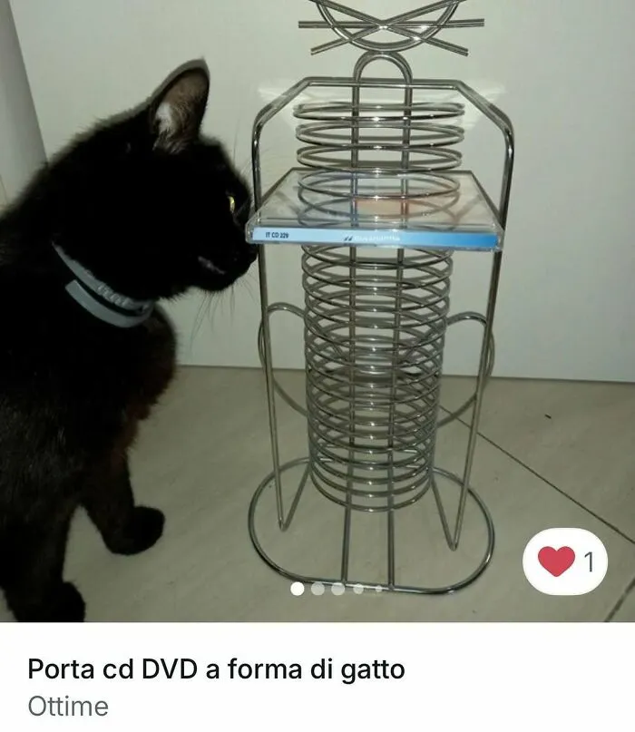 Funny-Cat-Pics-Vinted