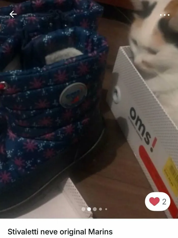 Cat peeking out of a shoebox next to a patterned winter boot, highlighting cats in Vinted ads stealing the spotlight.