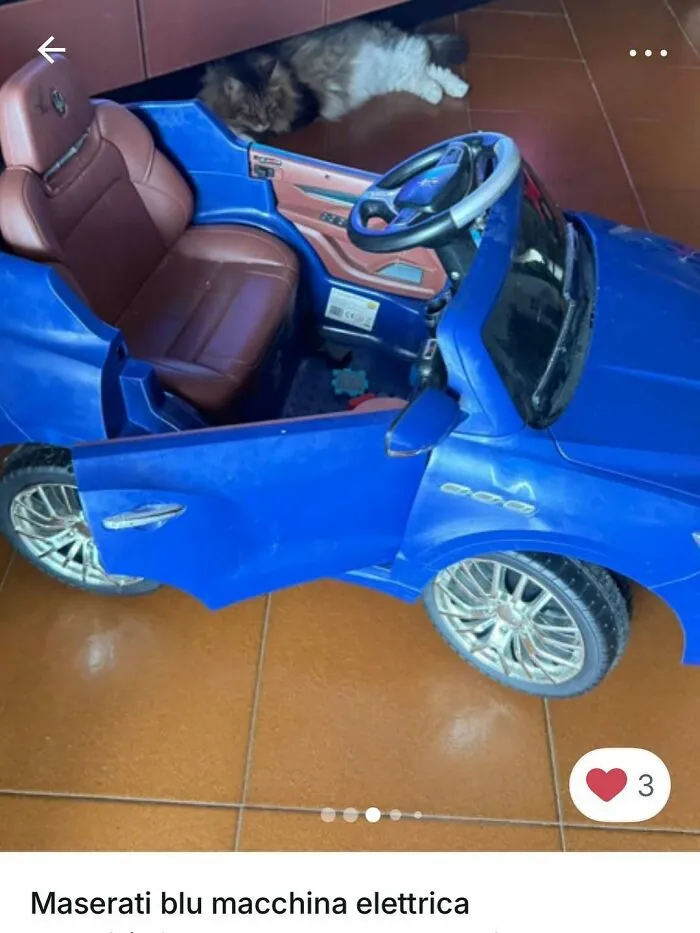 Cat resting near a blue toy Maserati car, showcasing moments cats stole the spotlight in Vinted ads.