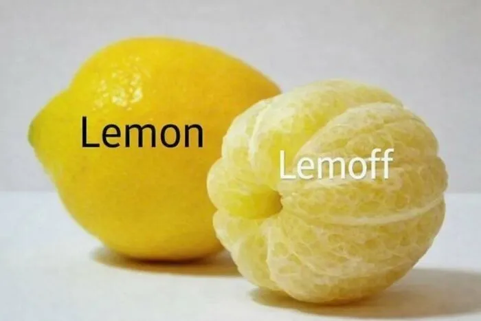 40 Memes That Feel Like They Came From A Completely Different Internet