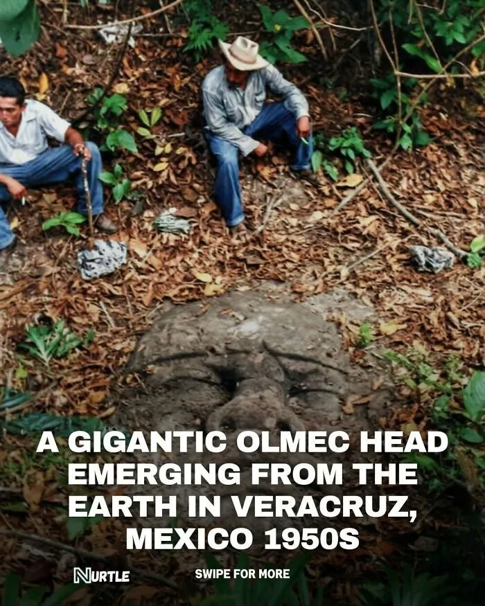 94 Random Facts That Nobody Really Asked For, But They Are Still Fun To Know