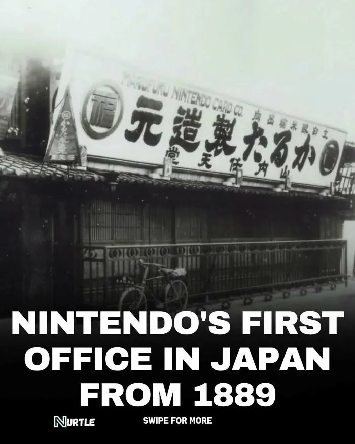 94 Random Facts That Nobody Really Asked For, But They Are Still Fun To Know