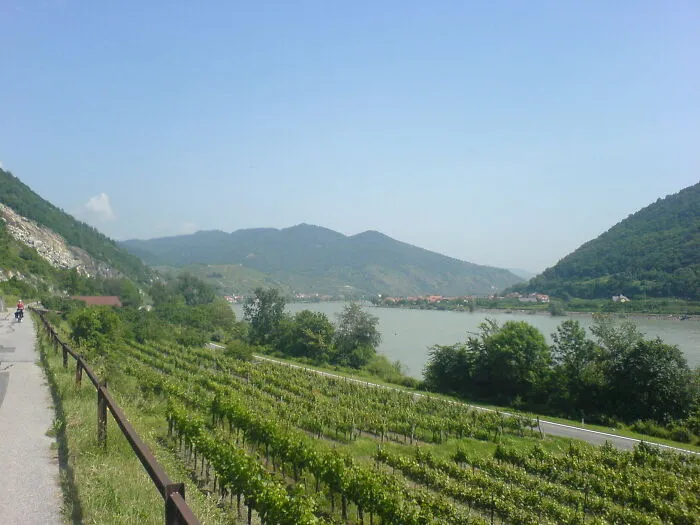 Scenic view of a river valley and vineyards, a disappointing tourist attraction locals still don’t get.