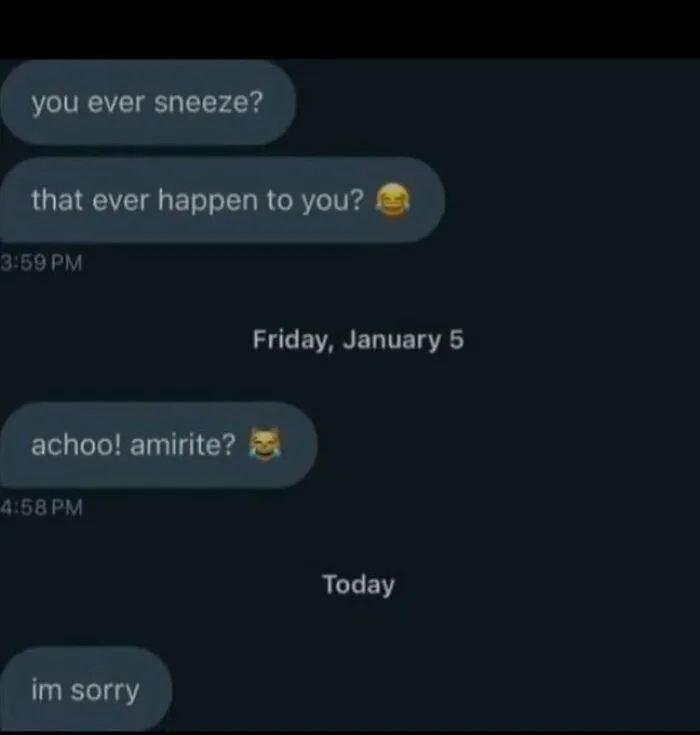 Text conversation with humorous messages about sneezing, reflecting light anxiety moments in casual chat threads.