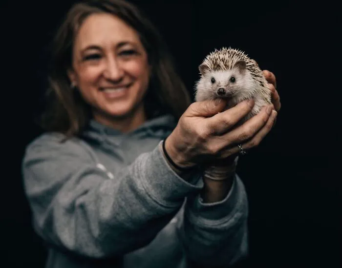 My 38 Hedgehog Photos, From Everyday Life To Celebrity Encounters
