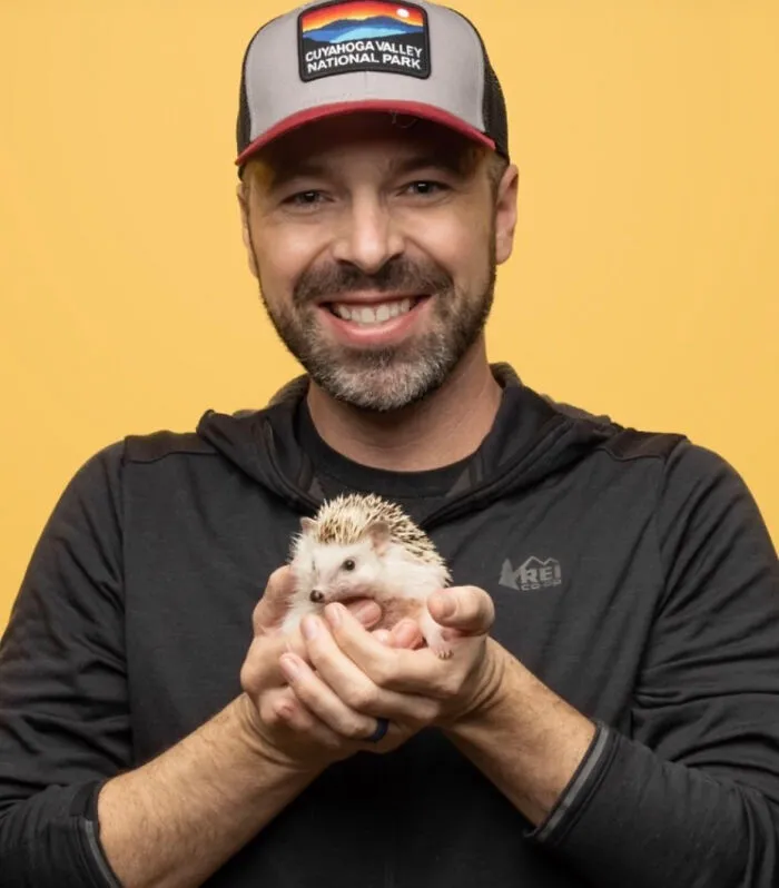 My 38 Hedgehog Photos, From Everyday Life To Celebrity Encounters