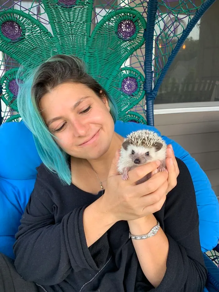 My 38 Hedgehog Photos, From Everyday Life To Celebrity Encounters