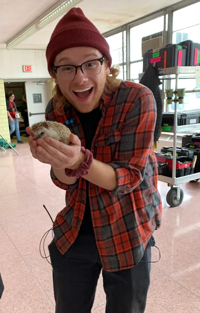 My 38 Hedgehog Photos, From Everyday Life To Celebrity Encounters