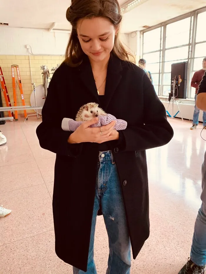 My 38 Hedgehog Photos, From Everyday Life To Celebrity Encounters