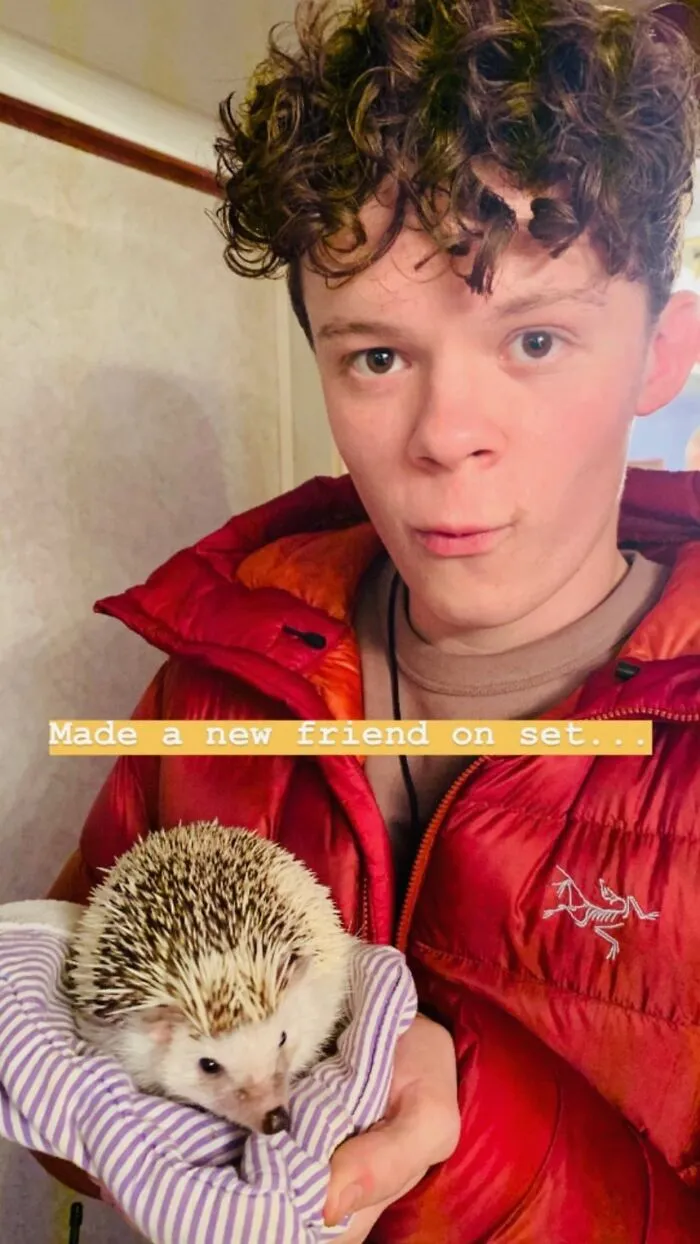 My 38 Hedgehog Photos, From Everyday Life To Celebrity Encounters