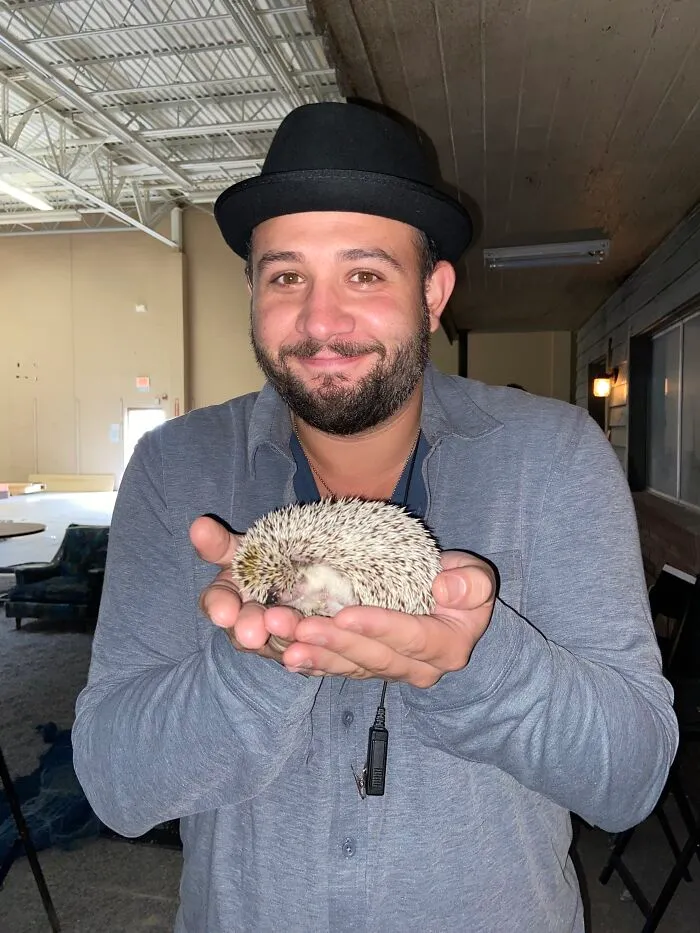 My 38 Hedgehog Photos, From Everyday Life To Celebrity Encounters