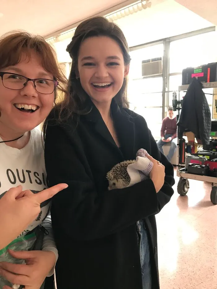 My 38 Hedgehog Photos, From Everyday Life To Celebrity Encounters