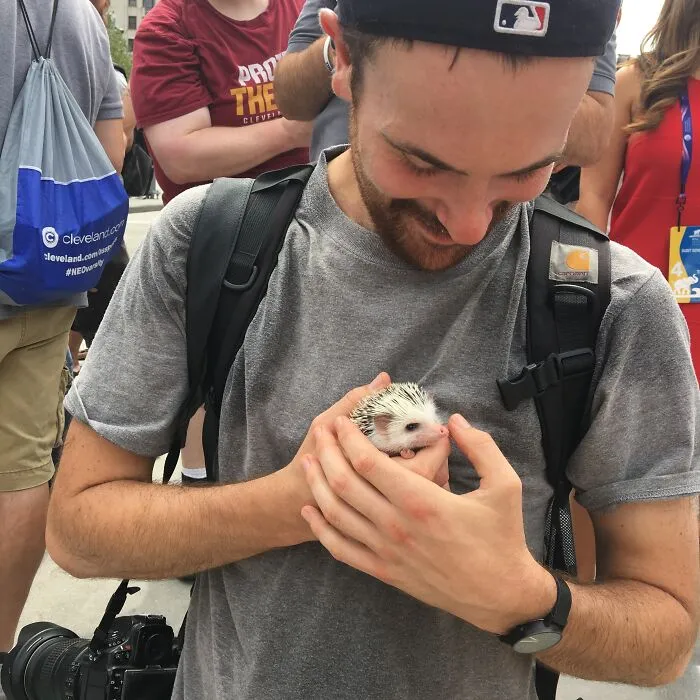My 38 Hedgehog Photos, From Everyday Life To Celebrity Encounters