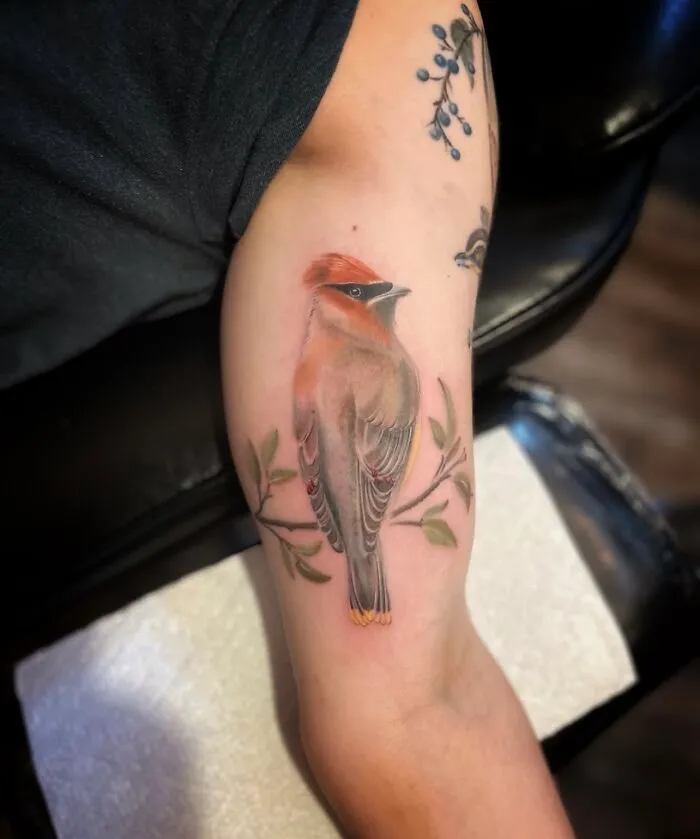 The Timeless Bird Tattoos By Tara Morgan