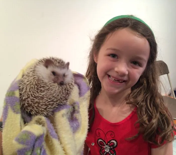 My 38 Hedgehog Photos, From Everyday Life To Celebrity Encounters