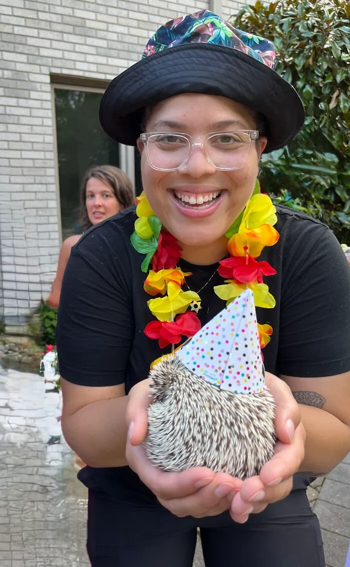 People Meeting Hedgehogs
