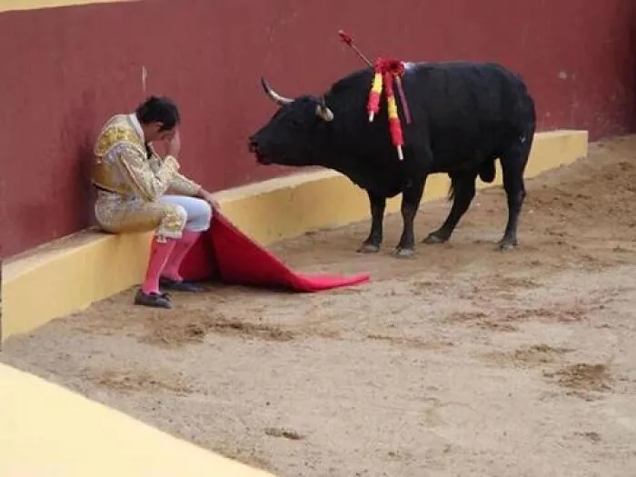 Matador sitting against wall appearing defeated while bull stands nearby in a scene that fooled the internet.