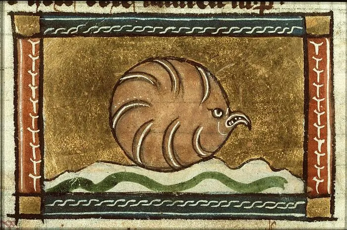 Perna (Oyster) - Miniature From Folio 108v From Der Naturen Bloeme (Kb Ka 16)