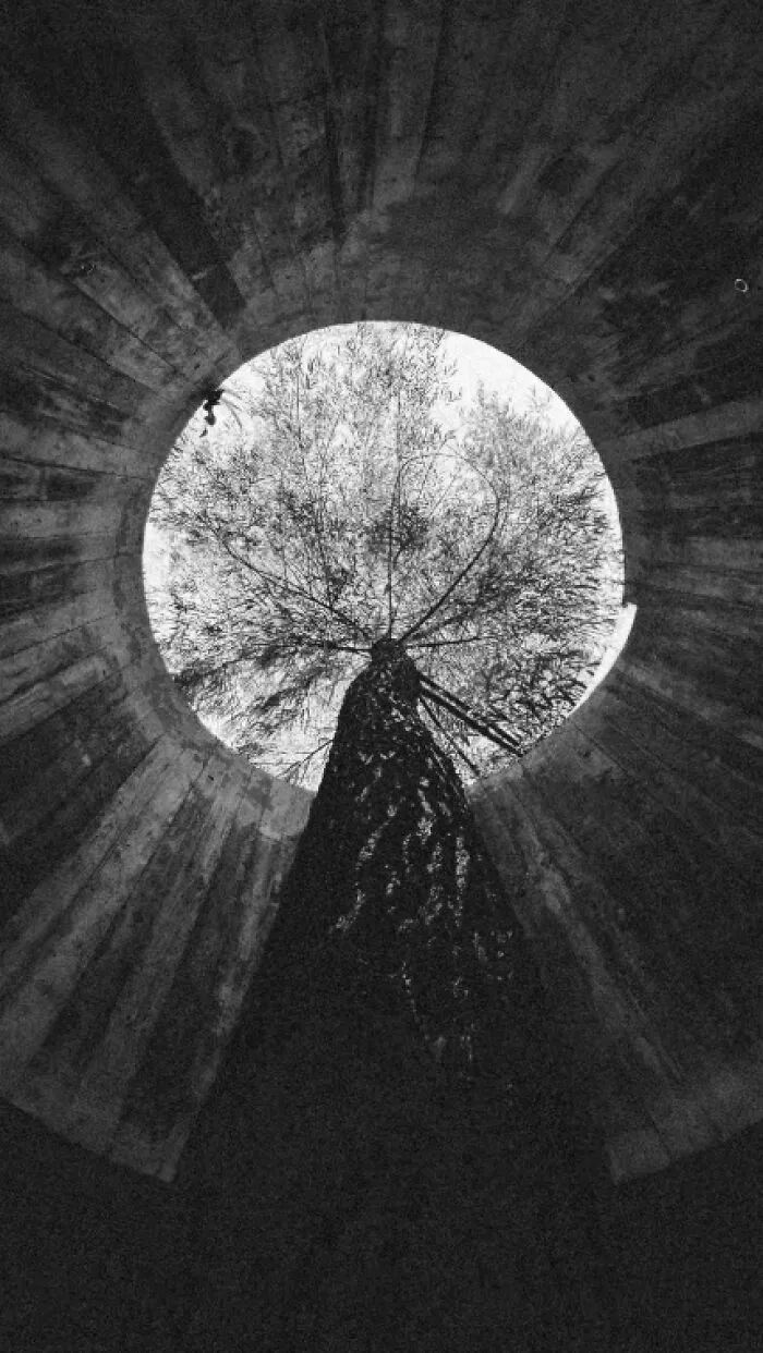 “Nature’s Corridor” By Sofia Stead