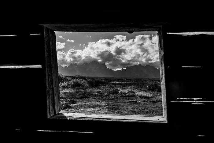 “Cabin View” By Katrina Peterson